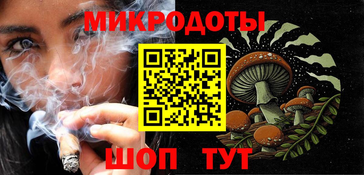Псилоцибиновые грибы Psilocybine cubensis Дербент