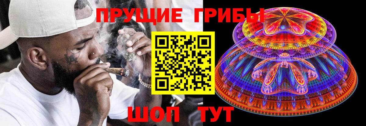 Дербент  Псилоцибиновые грибы Psilocybine cubensis  Вход с VPN  где найти наркотики  Псилоцибиновые грибы прущие грибы 